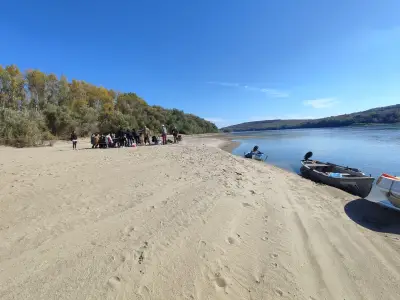 Дунавска рибена чорба