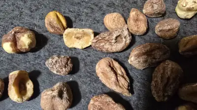 Mr. Almond - Ядки и още нещо...