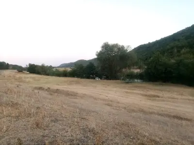 мандра "Люта"