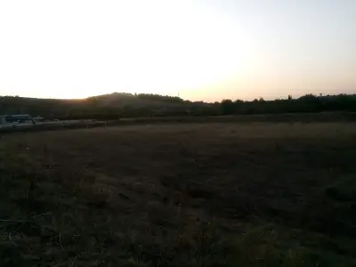 мандра "Люта"