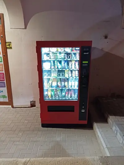 Пеликан 24 часа