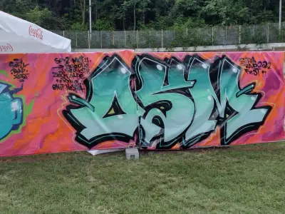 Vidas Art Arena