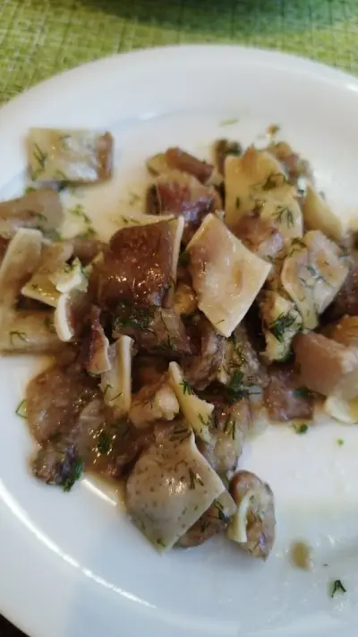 Gastro-Bar BILE