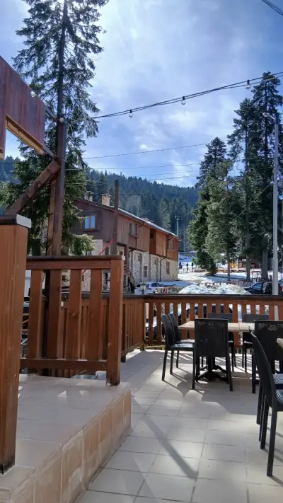 Forest House bar & dinner