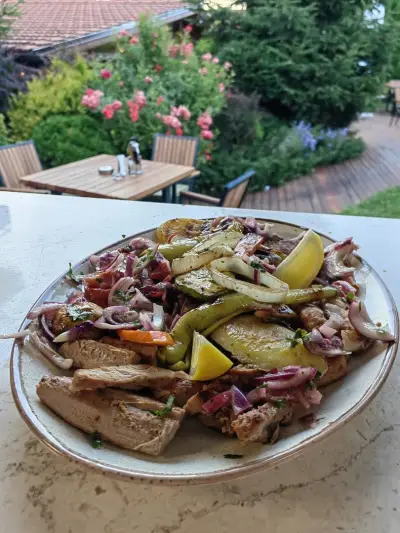 Витоха ресторант - градина / Vitoha restaurant - garden