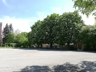 ОУ, Никола Икономов