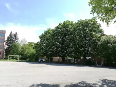 ОУ, Никола Икономов