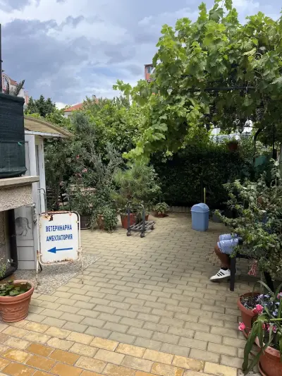 Ветеринарна клиника