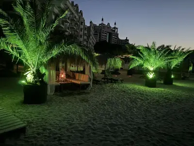 Beach bar & Food Palmsbeach