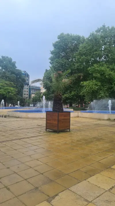 БЧК - Варна