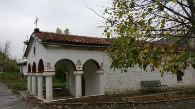 Психиатрична болница Карлуково
