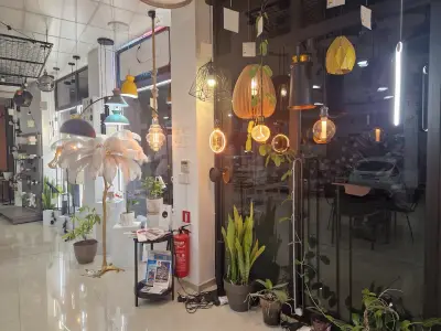Dream Lights
