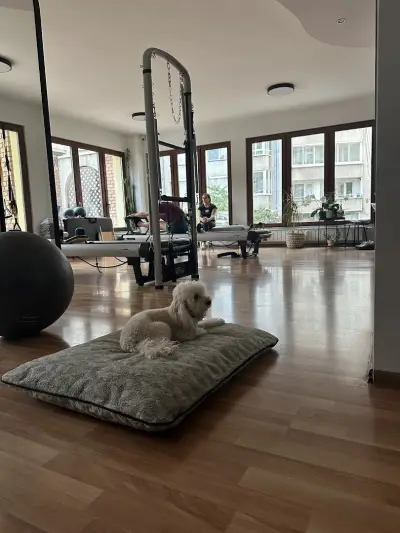 Social Studio - Pilates Reformer