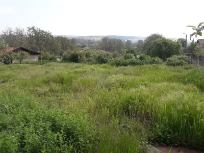 Кметство Ушинци