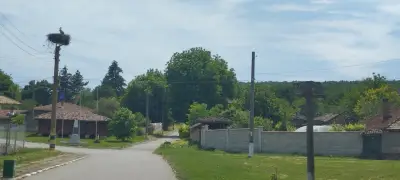 Кметство Ушинци