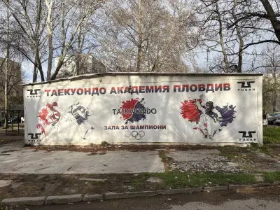Таекуондо Академия Пловдив