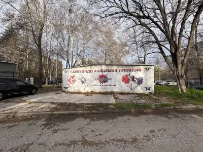 Таекуондо Академия Пловдив