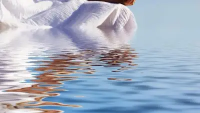 Yoga Refresh & health