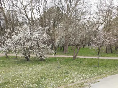 ОСК"Аспарухов парк"