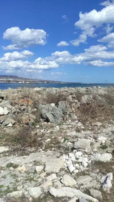 ОСК"Аспарухов парк"