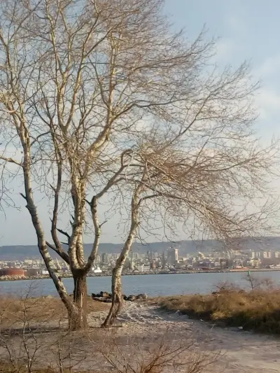 ОСК"Аспарухов парк"