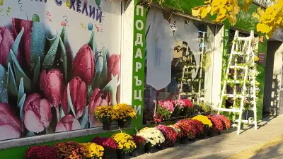 Цветен блус - Магазин за Цветя , Букети , Подаръци и Балони с Хелий.