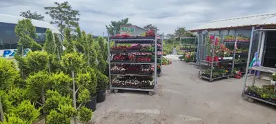 Градински център Казичене