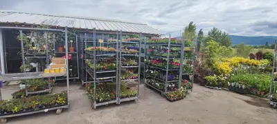 Градински център Казичене