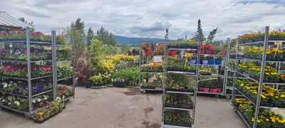 Градински център Казичене