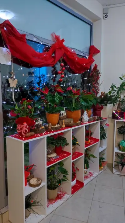 Алекс Флора
