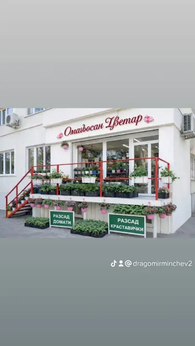 Омагьосан цветар