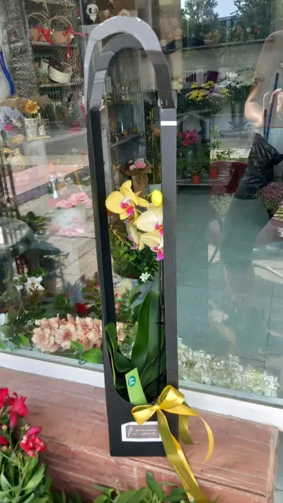 Магазин за цветя-Beautiful flowers