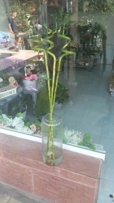 Магазин за цветя-Beautiful flowers