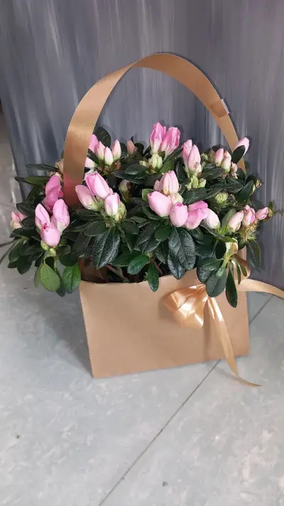 Онлайн студио за цветя Beautiful flowers