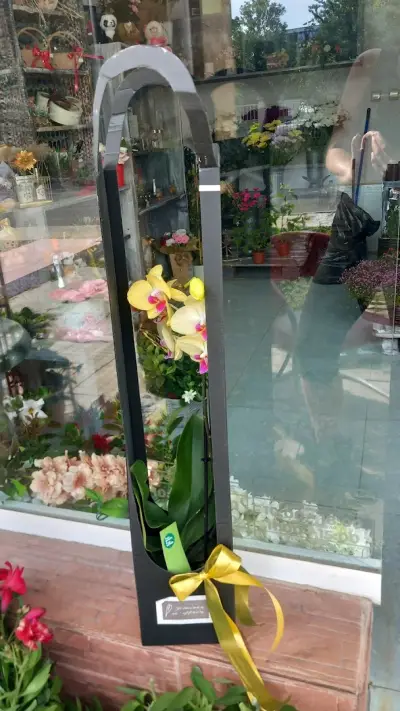Онлайн студио за цветя Beautiful flowers