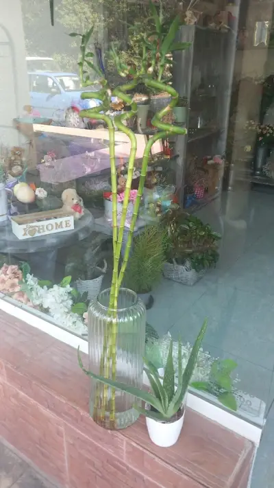 Онлайн студио за цветя Beautiful flowers