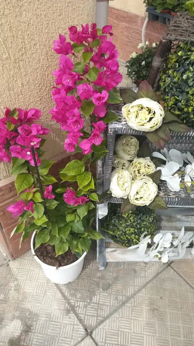 Онлайн студио за цветя Beautiful flowers