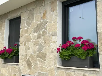 Градински център Бургас Pro Plants