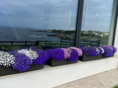 Градински център Бургас Pro Plants