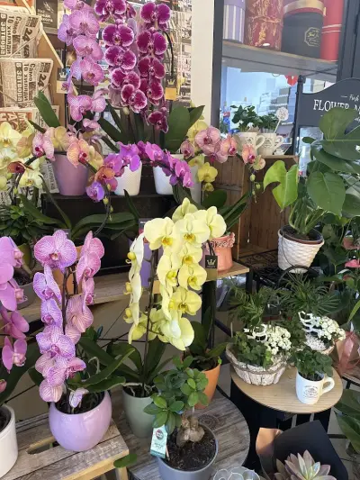 Flower Shop - цветя и опаковане на подаръци ДОСТАВКА на цветя