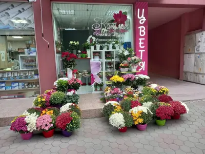 Катлея-25