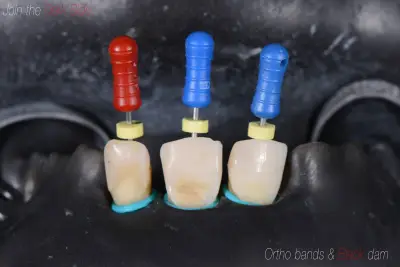 Denta Consult