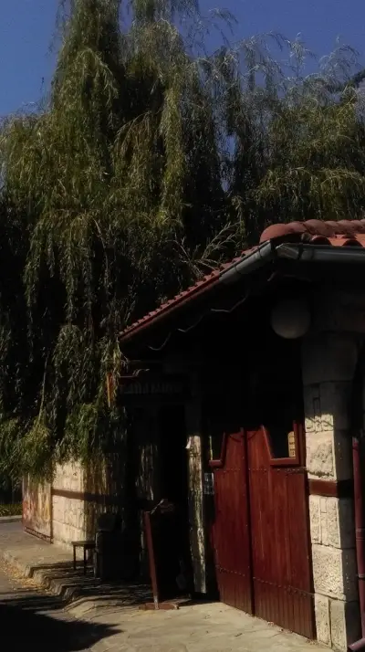 Винарна Абритус