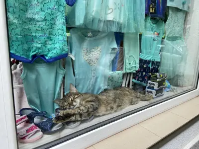 Детски магазин Банкя