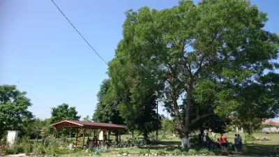 Кметство Рисиманово