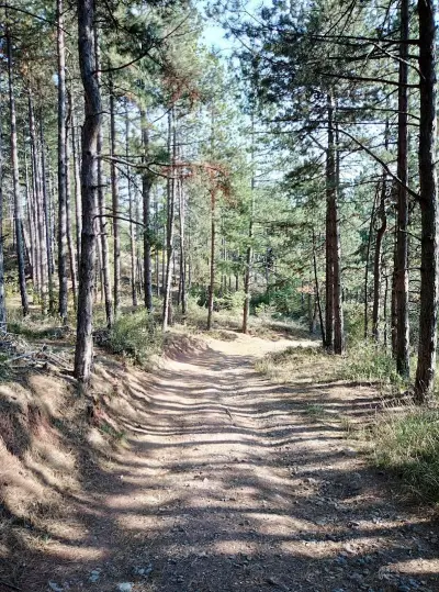 църква Успение Богородично