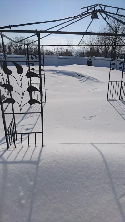 Lionsgate training and boarding kennels