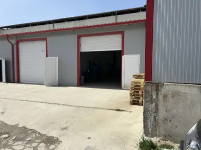 Top auto serviz
