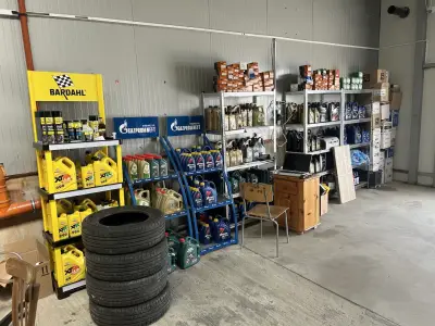 Top auto serviz