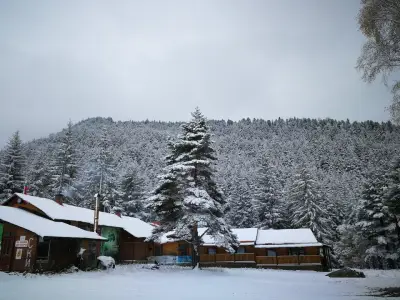 Чайната